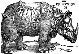 Un rinoceronte en la isla en 1516. Durero, que nunca había visto un animal así, hizo este grabado en madera según un croquis enviado desde Lisboa.