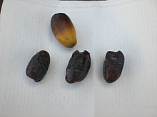 Dates-Ammari.JPG