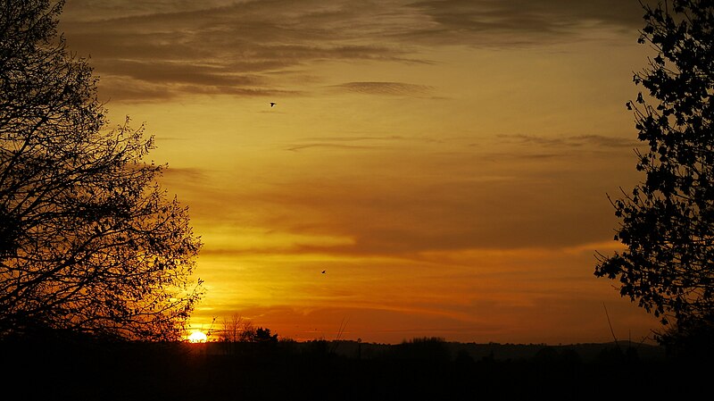 File:December sunset, 1 - geograph.org.uk - 5224206.jpg