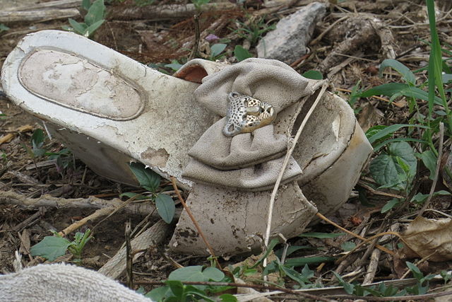 Abandoned footwear - Wikipedia