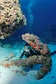 Diver and old anchor, Monito Island, Puerto Rico.jpg
