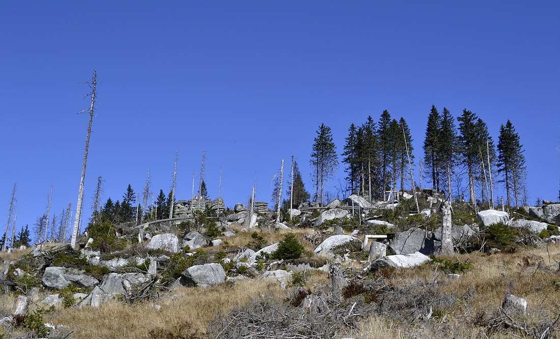 Dreisesselberg (Bayerischer Wald)