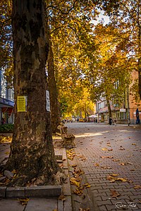 Dulovo, Bulgaria