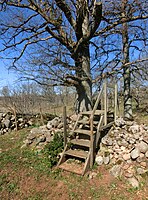 Svenska: Väsmestorps naturreservat. April 2020.