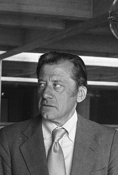 File:Emile Meijer in kantongerecht Parnassusweg (cropped).jpg