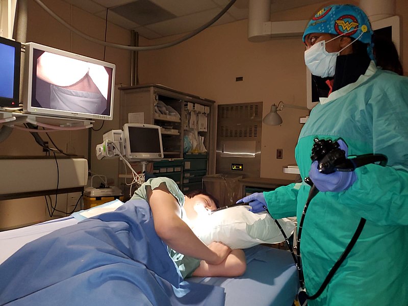 File:Endoscopy start.jpg