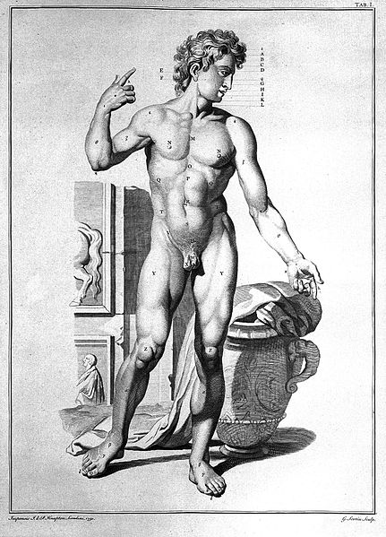 File:Engravings of anatomical designs; nudes. Wellcome L0007568.jpg