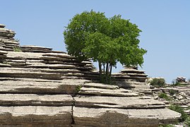 Spagna Torcal 10.JPG