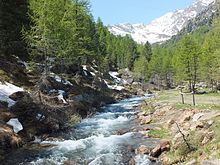 Die Falschauer oberhalb des Weißbrunnsees