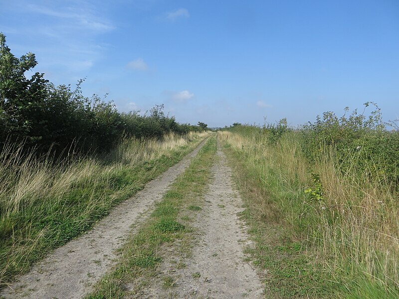 File:Farm track and bridleway - geograph.org.uk - 4681981.jpg