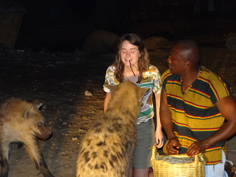 File:Feeding the Hyenas 10.jpg