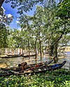 Chunati Wildlife Sanctuary.jpg Balıkçı