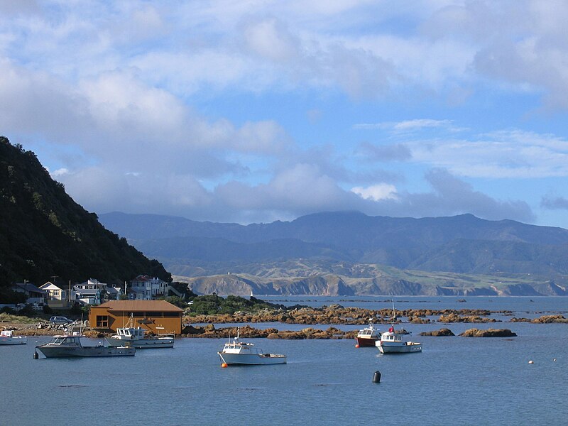 File:Fishing boats in New Zealand.jpg