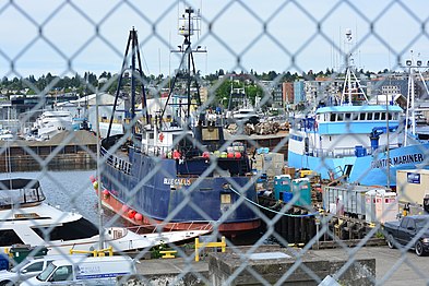 I think there is no question that these are "fishing ships," and they aren't even nearly the biggest.