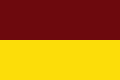 Flag of Tolima.