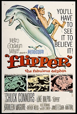 Flipper