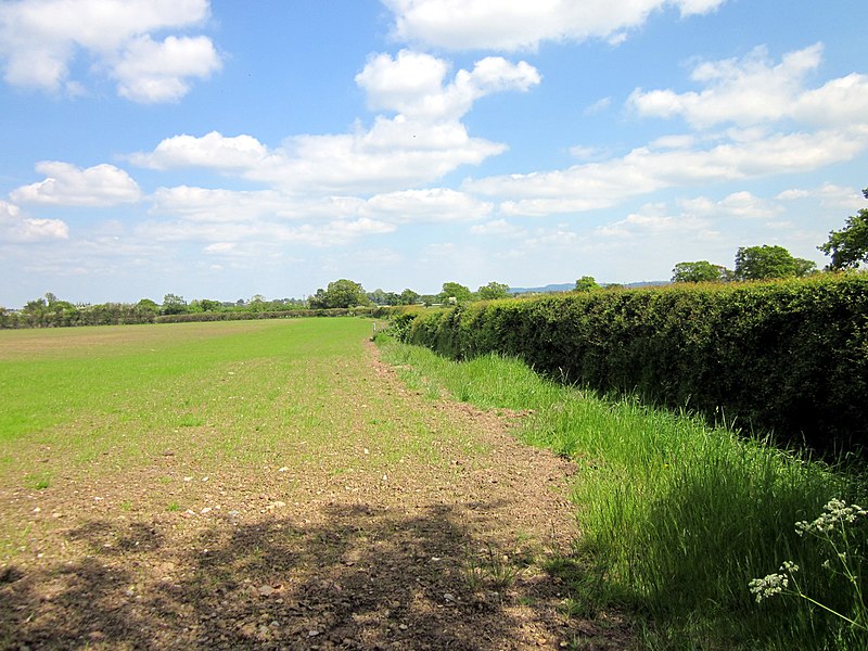 File:Footpath to Holt - geograph.org.uk - 3493966.jpg