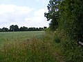 Footpath to Hungers Green - geograph.org.uk - 2449004.jpg