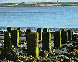 Foreshore posts - geograph.org.uk - 569251.jpg