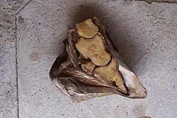 Hoof specimen, sagittal section. Severe P3 rotation and penetration into the sole. A lamellar wedge is evident. Founder severe rotation.JPG