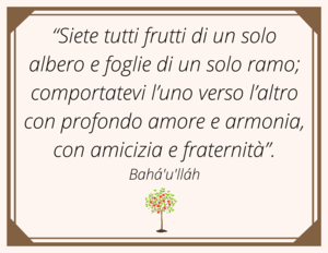 Siete tutti frutti di un solo albero