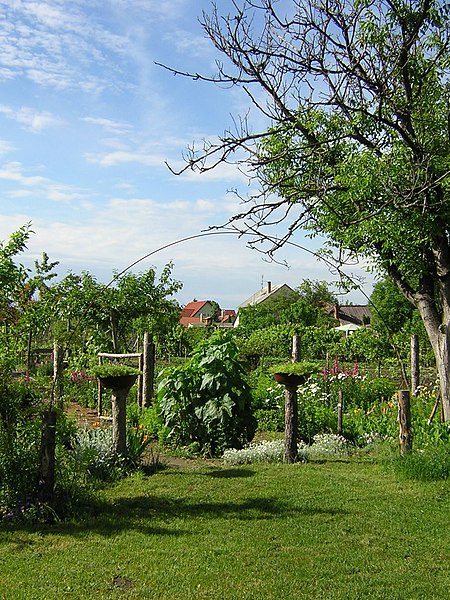 File:Gönyű, Hungary - panoramio (5).jpg