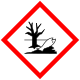 09 - Pericoloso per l'ambiente