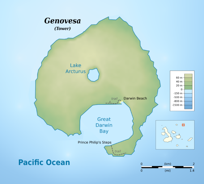 File:Genovesa.topographic map-en.png