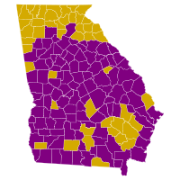 Праймериз Демократической партии Джорджии 2008.svg 