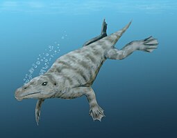 Life restoration of the Eocene whale Georgiacetus Georgiacetus BW.jpg