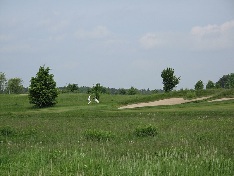 File:Golf- und Countryclub Seddiner See 7.JPG