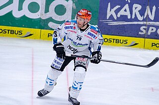 <span class="mw-page-title-main">Gregor Baumgartner</span> Austrian ice hockey player (born 1979)