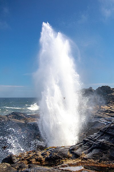 File:Haida Gwaii (Queen Charlotte Islands) - Graham Island - a few hikes around the N end of Naikoon Provincial Park - Tow Hill trail - the Blowhole!! - (21570379121).jpg