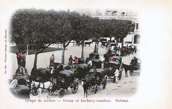 Hackney coaches