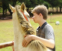 Een jonge jongen streelt de manen van een paard