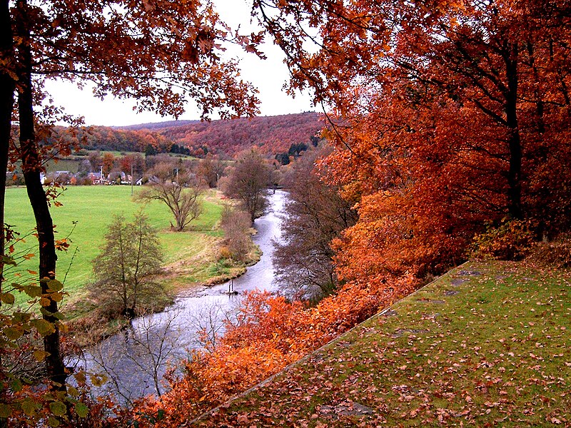 File:Herfst in België.jpg