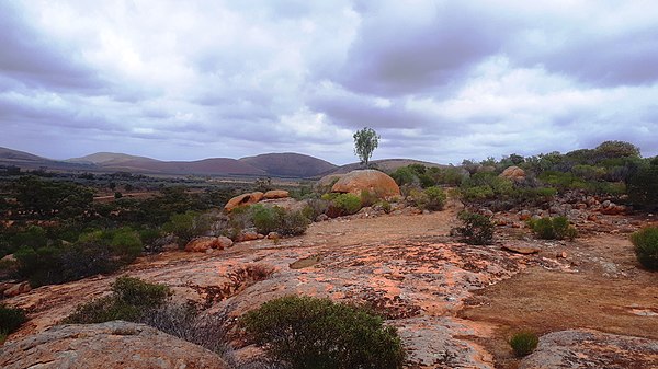 Pink granite at Hiltaba, South Australia (part of the Hiltaba Suite)