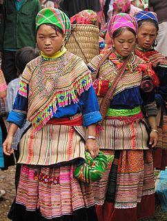 <span class="mw-page-title-main">Hmong textile art</span> Asian textile art