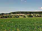 Hohe Berg (Sulzbach)