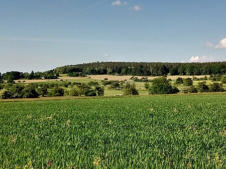 Hohe Berg (Sulzbach)