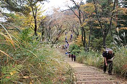 West Ridge trail