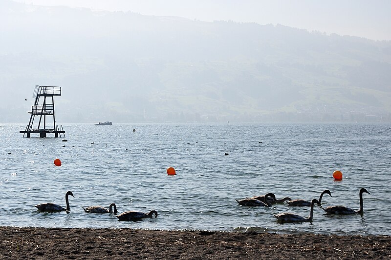 File:Jona (SG) - Obersee - Strandbad Stampf 2011-10-23 13-48-16.jpg