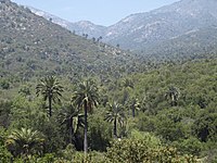 La Campana National Park