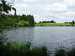 Kögelweiher GO-1.jpg