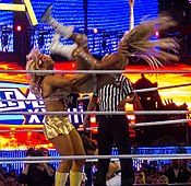 Kelly Kelly performing the Molly-go-round at WrestleMania XXVIII Kelly Kelly Molly go round.jpg