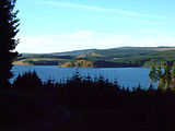 Kielder Forest