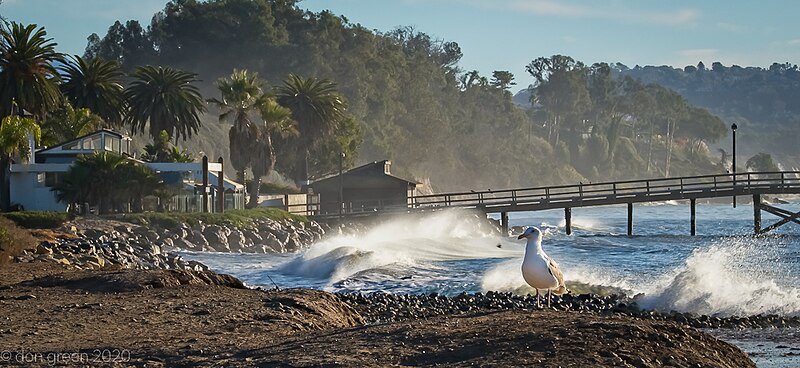 File:King Tide at Goleta Beach (50727813561).jpg