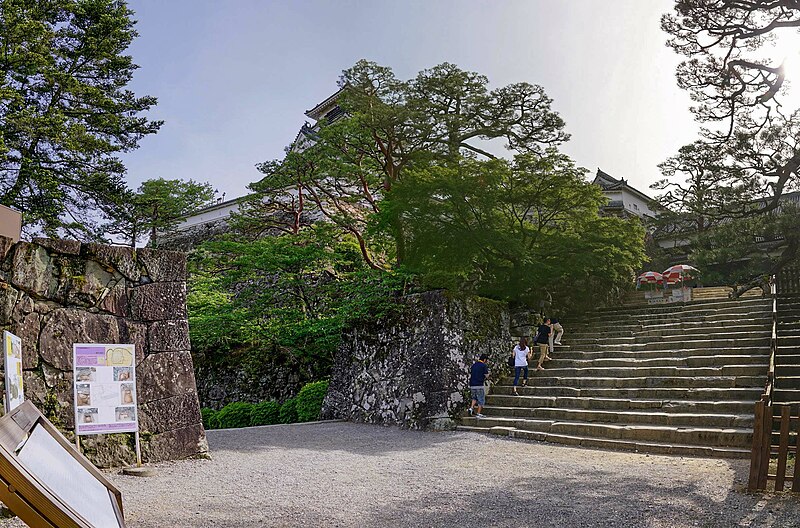 File:Kochi castle - 高知城 - panoramio (15).jpg