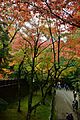 Kōjaku-ji / 香積寺