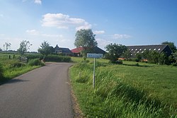 Krassum (2006)